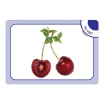 فلش كارت ميوه ها